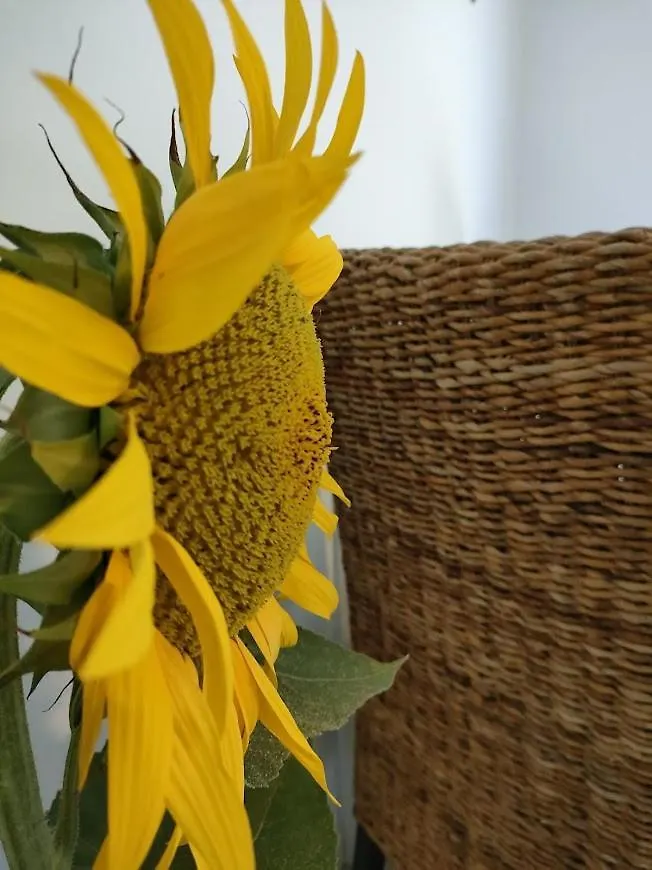 Au Jardin De Pages Chambres D'Hotes Et Gites Lias-d'Armagnac Oda ve Kahvaltı